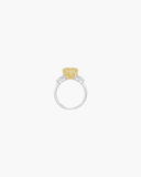 Alexa Ring