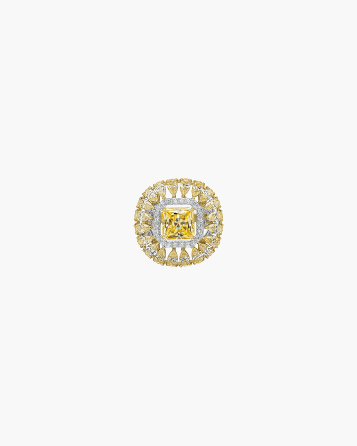 Amy Ring