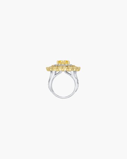 Amy Ring