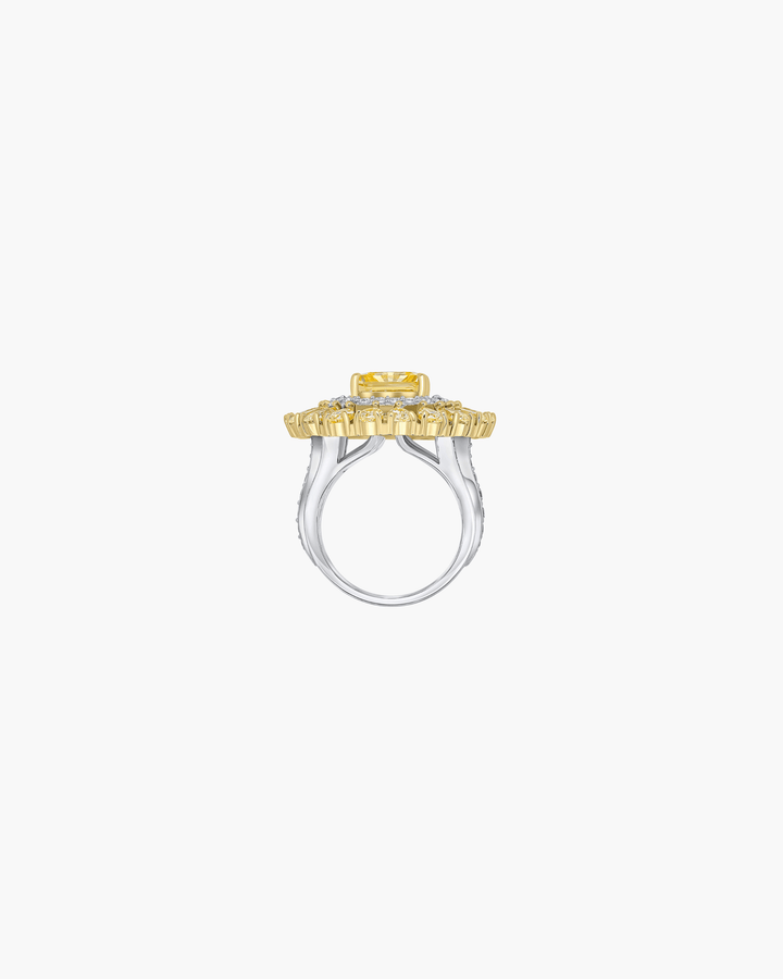 Amy Ring