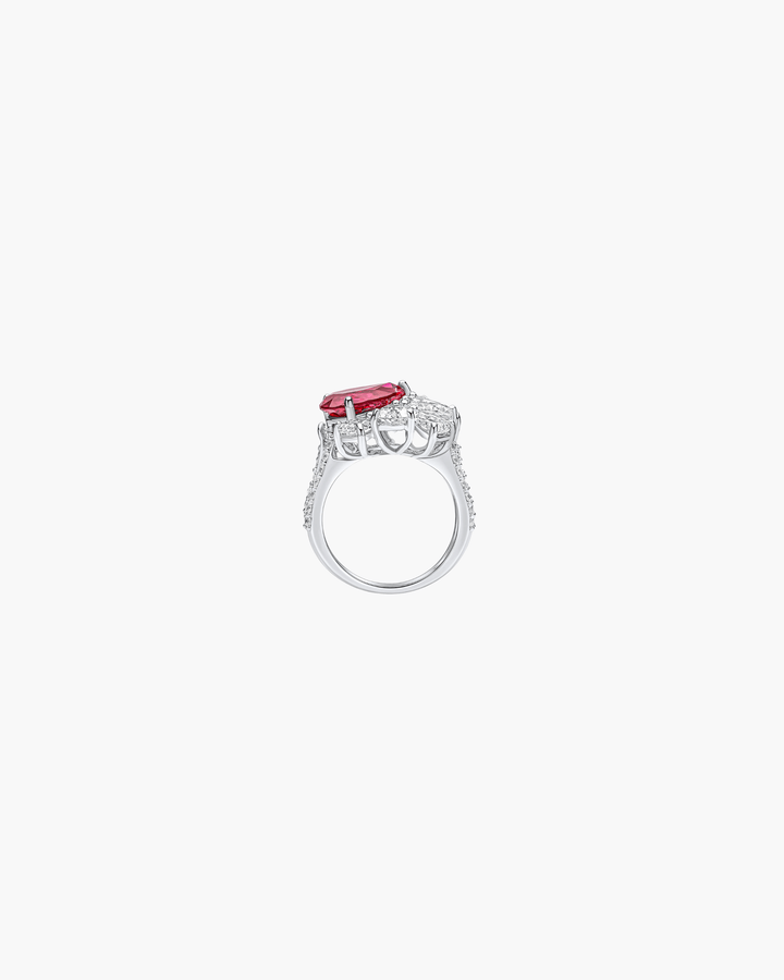 Andi Ring