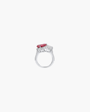 Andi Ring