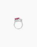 Andi Ring