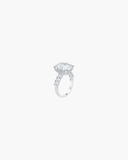Avery Ring