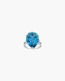 Geneva Ring