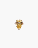 Geneva Ring