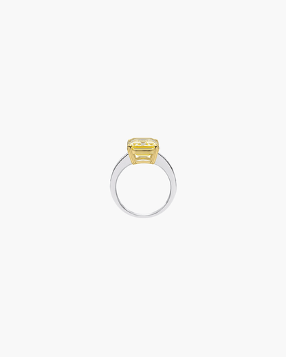 Maxine Ring