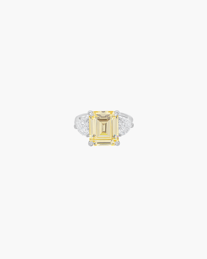 Polly Ring