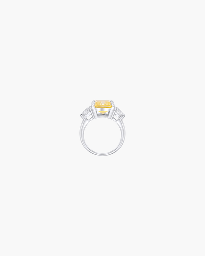 Polly Ring