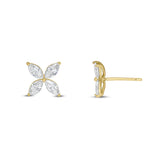 Kitty Earrings